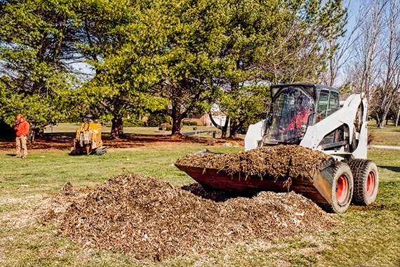 Stump removal and grinding